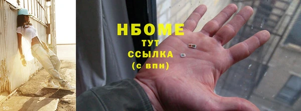 прущий лед Инсар