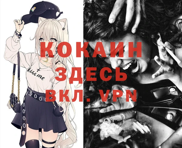 прущие грибы Карталы