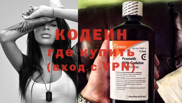 прущие грибы Карталы