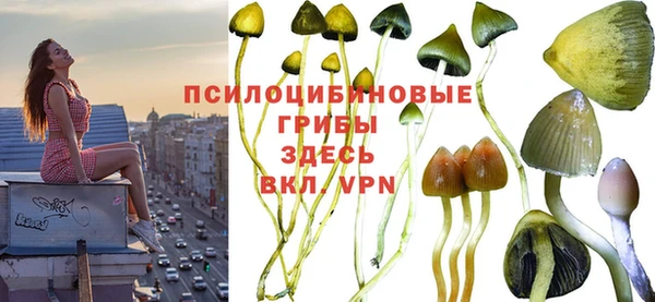 каннабис Карпинск