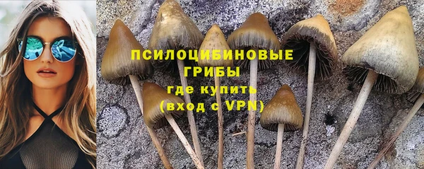 не бодяженный Каменногорск
