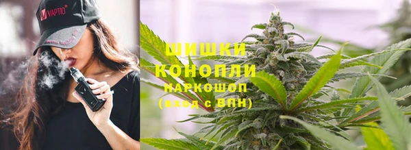 прущие грибы Карталы