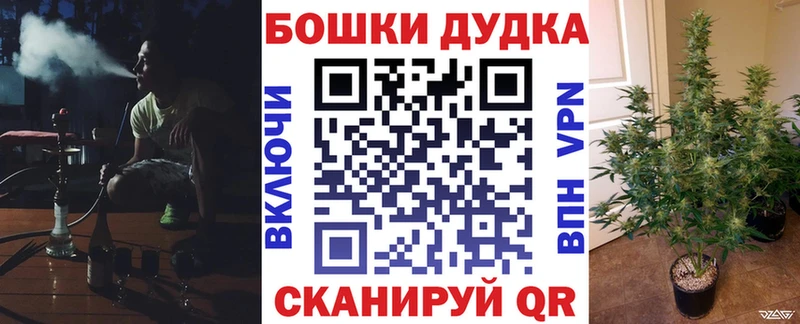 Конопля гибрид  Купить где  Котово 